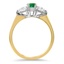 The Smith Ring, smallside view