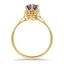The Donnamarie Ring, smallside view