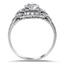 The Renate Ring, smallside view