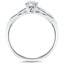 The Zia Ring, smallside view