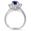 The Fantasia Ring, smallside view