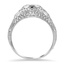The Aundrea Ring, smallside view