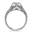 The Reed Ring, smallside view