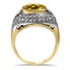 The Micki Ring, smallside view