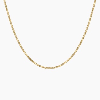 Charlie 18 in. Rolo Chain Necklace