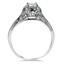 The January Ring, smallside view