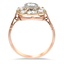 The Iolana Ring, smallside view