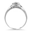 The Neumos Ring, smallside view