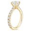 18K Yellow Gold Anthology Three-Quarter Coverage Diamond Ring, smallside view