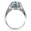 The Barry Ring, smallside view