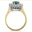 The Adelphia Ring, smallside view