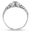 The Meryl Ring, smallside view