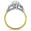 The Pertessa Ring, smallside view