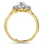 The Acosta Ring, smallside view