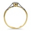 The Canberra Ring, smallside view