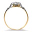 The Joeann Ring, smallside view