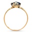 The Tybalt Ring, smallside view