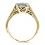 The Murray Ring, smallside view