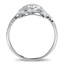 The Benassay Ring, smallside view