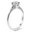 The Brial Ring, smalltop view on a hand