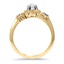 The Perri Ring, smallside view