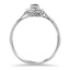 The Dorice Ring, smallside view
