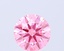 0.70 Ct. Fancy Vivid Pink Round Lab Grown Diamond