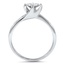 The Mythri Ring, smallside view