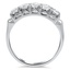The Albert Ring, smallside view