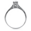 The Victoria Ring, smallside view
