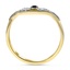 The Brett Ring, smallside view