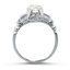 The Leontine Ring, smallside view