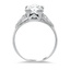 The Adelina Ring, smallside view
