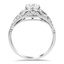 The Chanelle Ring, smallside view