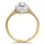 The Danette Ring, smallside view