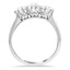 The Krish Ring, smallside view
