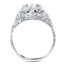 The Tarus Ring, smallside view