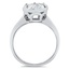 The Sammie Ring, smallside view