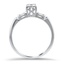 The Bertie Ring, smallside view