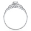 The Ginna Ring, smallside view