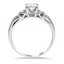 The Cordie Ring, smallside view