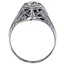 The Venus Ring, smallside view