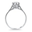The Etna Ring, smallside view