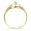 The Rabb Ring, smallside view