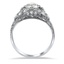 The Dulcie Ring, smallside view