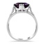 The DeWolff Ring, smallside view