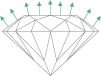 Diamond Cut Scale